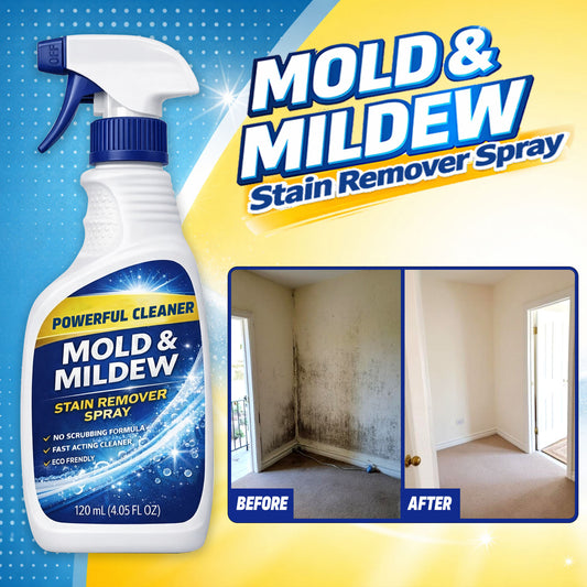Mold & Mildew Stain Remover Spray